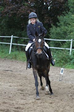Bild 1039 - WBO-Turnier am 18.9.11
